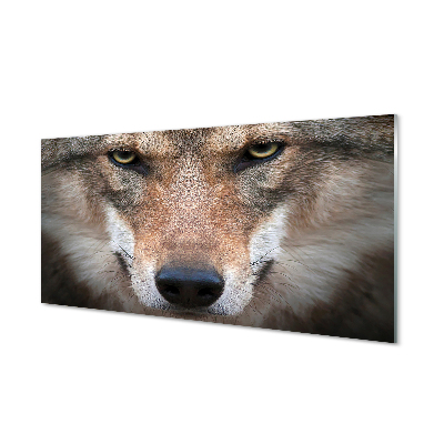 Quadro acrilico Eyes Wolf