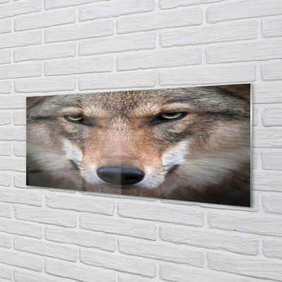 Quadro acrilico Eyes Wolf