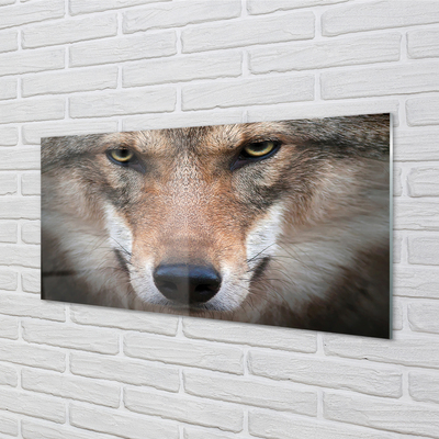 Quadro acrilico Eyes Wolf
