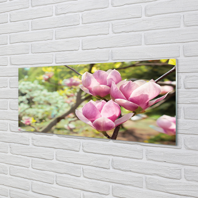 Quadro vetro acrilico Alberi magnolia