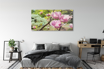 Quadro vetro acrilico Alberi magnolia