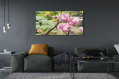 Quadro vetro acrilico Alberi magnolia