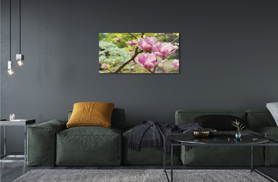 Quadro vetro acrilico Alberi magnolia