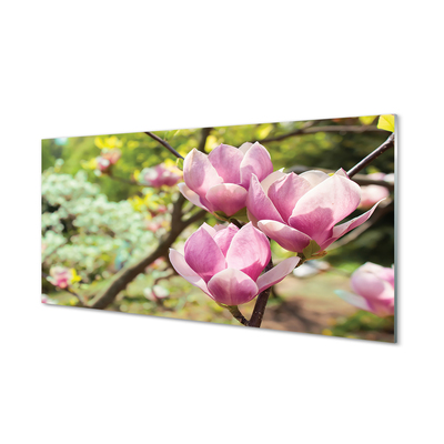 Quadro vetro acrilico Alberi magnolia