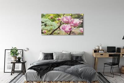 Quadro vetro acrilico Alberi magnolia