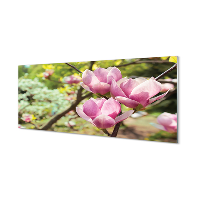 Quadro vetro acrilico Alberi magnolia