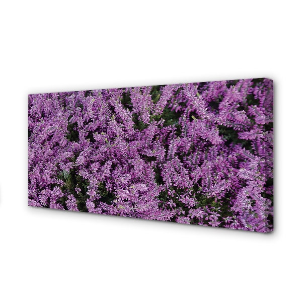 Quadro su tela Fiori viola