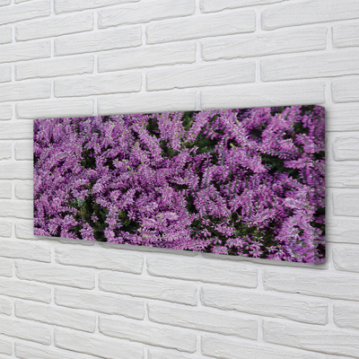 Quadro su tela Fiori viola