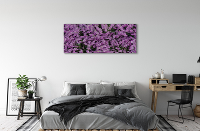 Quadro su tela Fiori viola