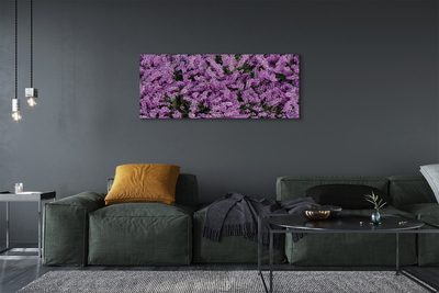 Quadro su tela Fiori viola