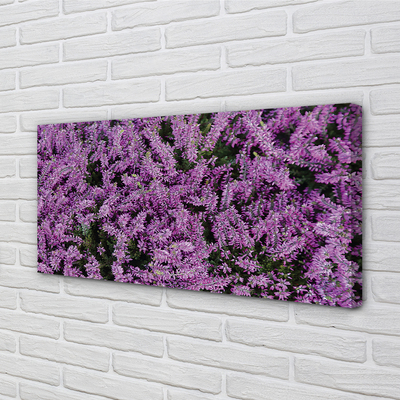 Quadro su tela Fiori viola