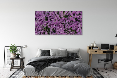 Quadro su tela Fiori viola