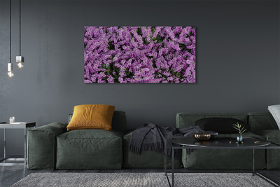 Quadro su tela Fiori viola