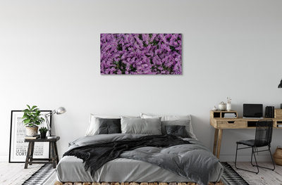 Quadro su tela Fiori viola