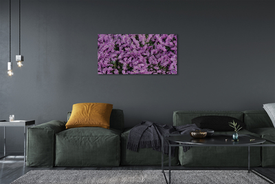 Quadro su tela Fiori viola