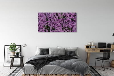 Quadro su tela Fiori viola