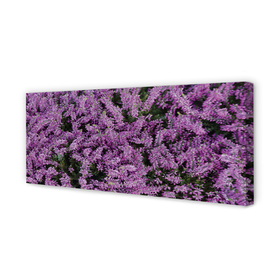 Quadro su tela Fiori viola