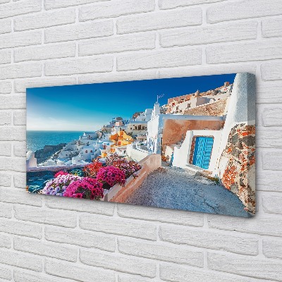 Quadro su tela Edifici della Grecia Fiori di mare