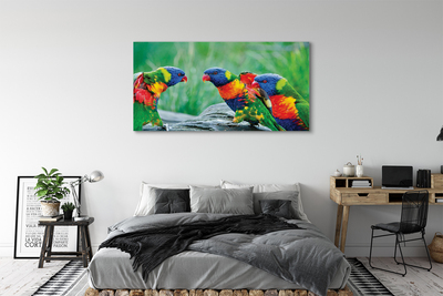 Quadro stampa su tela Albero di pappagalli colorati