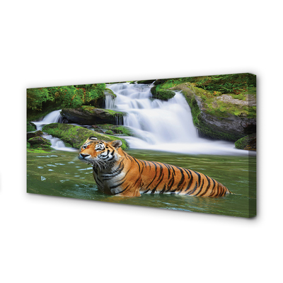 Quadro stampa su tela Tigre a cascata