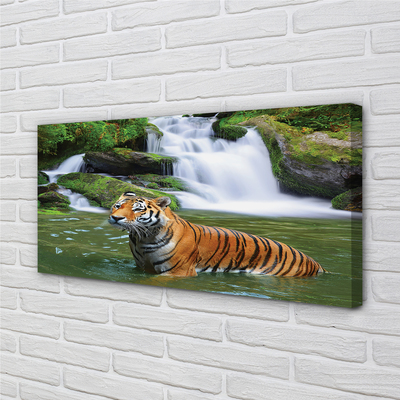 Quadro stampa su tela Tigre a cascata