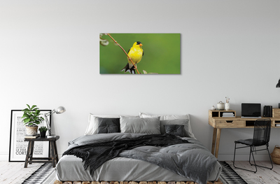 Quadro su tela Pappagallo giallo