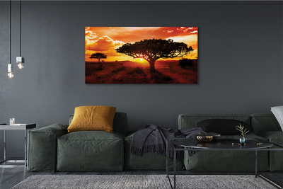 Quadro su tela Alberi di nuvole ovest