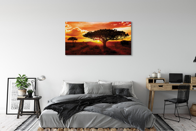 Quadro su tela Alberi di nuvole ovest