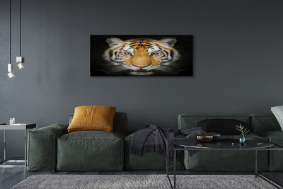 Quadro su tela Tigre