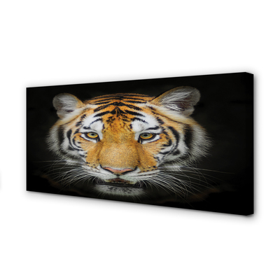 Quadro su tela Tigre