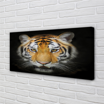 Quadro su tela Tigre