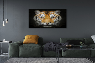 Quadro su tela Tigre