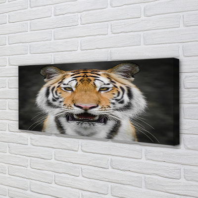 Quadro su tela Tigre