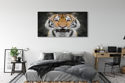 Quadro su tela Tigre