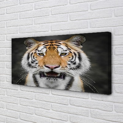 Quadro su tela Tigre