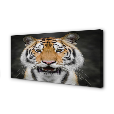 Quadro su tela Tigre