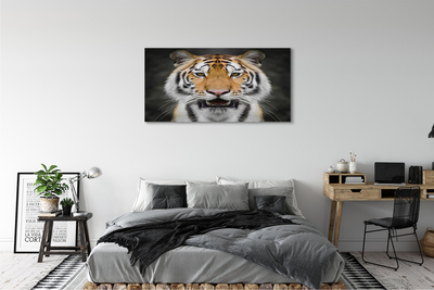 Quadro su tela Tigre