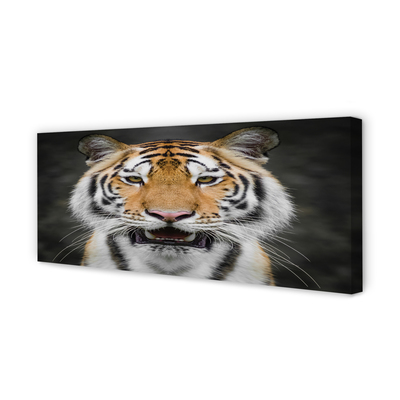 Quadro su tela Tigre