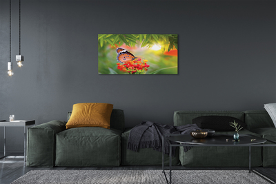 Quadro su tela Fiori di farfalla colorati