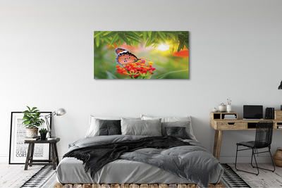 Quadro su tela Fiori di farfalla colorati