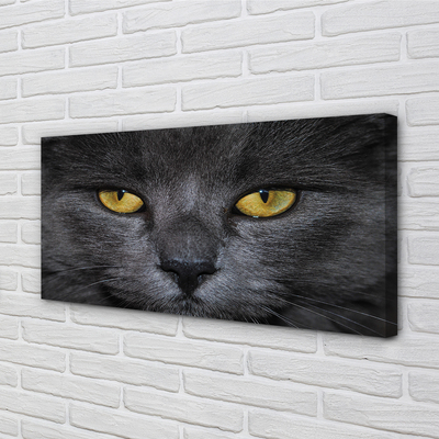 Quadro su tela Gatto nero