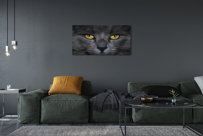 Quadro su tela Gatto nero