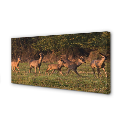 Quadro su tela Deer Sunrise Field