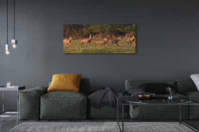 Quadro su tela Deer Sunrise Field