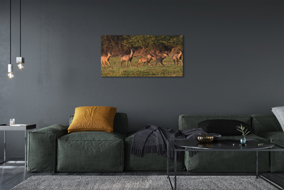 Quadro su tela Deer Sunrise Field