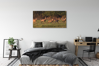 Quadro su tela Deer Sunrise Field