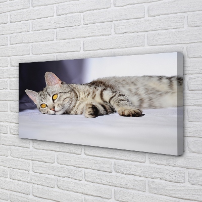 Quadro su tela Gatto bugiardo