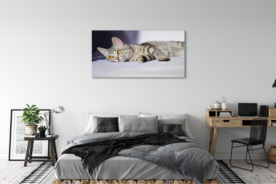 Quadro su tela Gatto bugiardo