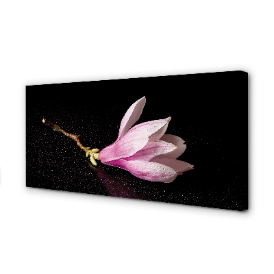 Quadro su tela Acqua di fiori