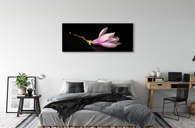 Quadro su tela Acqua di fiori